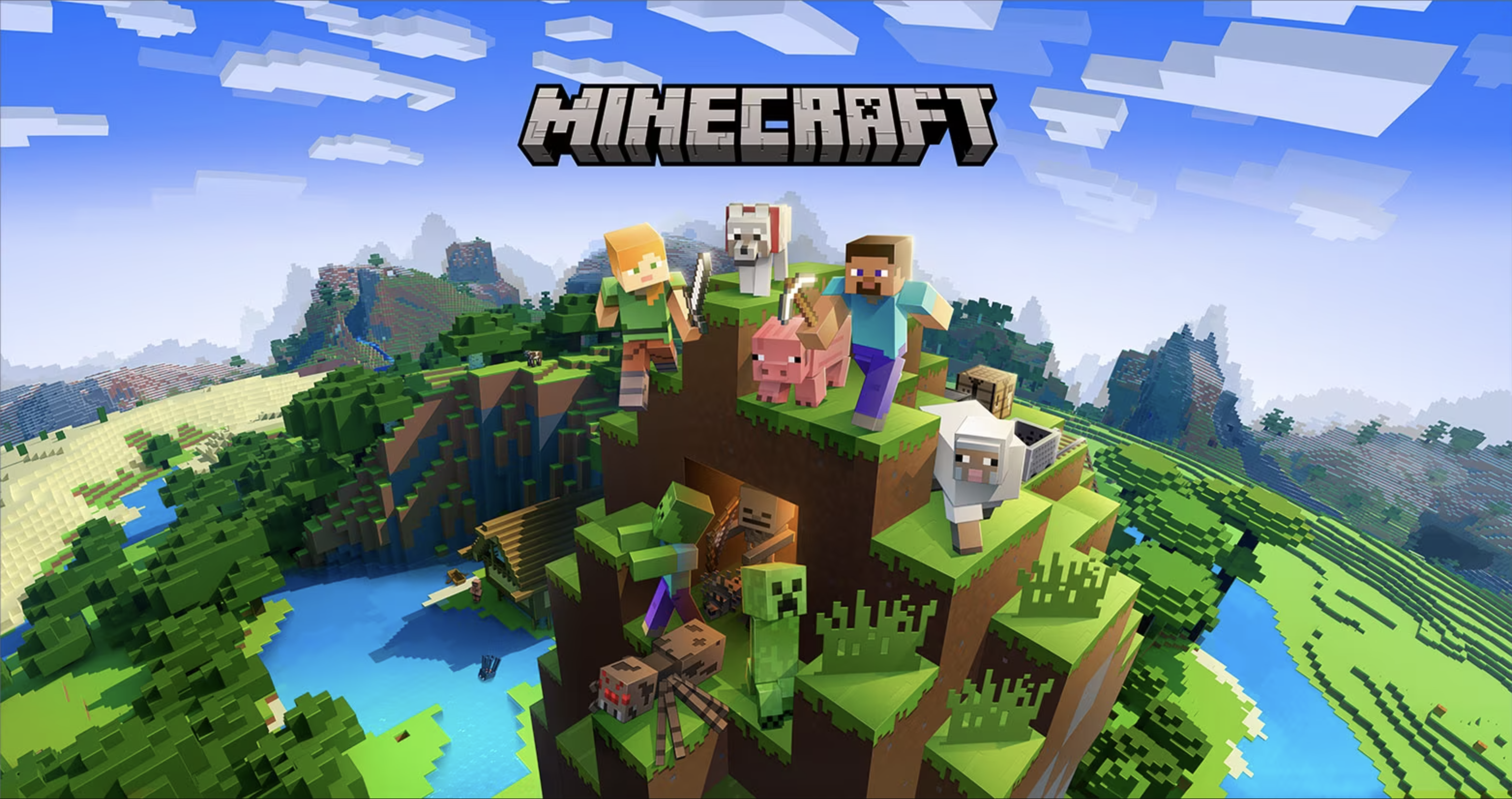 Minecraft server (forge, paper, vanilla, +)